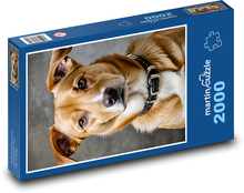 Dog Puzzle 2000 pieces - 90 x 60 cm