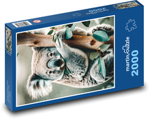 Koala na strome Puzzle 2000 dielikov - 90 x 60 cm