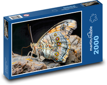 Motýľ - hmyz Puzzle 2000 dielikov - 90 x 60 cm