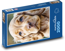 Pies - Cocker Spaniel Puzzle 2000 elementów - 90x60 cm