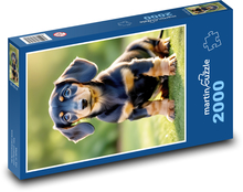 Pes - jazvečík Puzzle 2000 dielikov - 90 x 60 cm