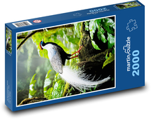 Bažant stříbrný Puzzle 2000 dílků - 90 x 60 cm