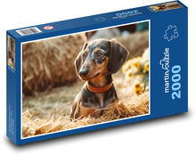 Dog - Dachshund Puzzle 2000 pieces - 90 x 60 cm