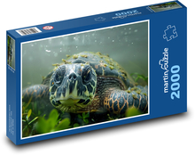 Unterwasserschildkröte Puzzle 2000 Teile - 90 x 60 cm