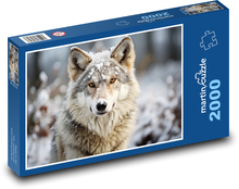 Snežný vlk Puzzle 2000 dielikov - 90 x 60 cm
