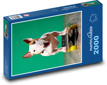 Pes na skateboardu Puzzle 2000 dílků - 90 x 60 cm