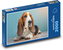 Basset Hound - Dog Puzzle 2000 pieces - 90 x 60 cm