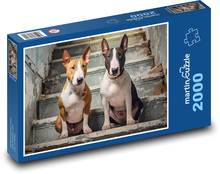 Býčí teriér - pes Puzzle 2000 dielikov - 90 x 60 cm