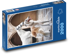 Borzoi - Hund Puzzle 2000 Teile - 90 x 60 cm