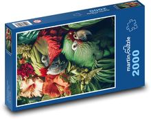 Papagáje Puzzle 2000 dielikov - 90 x 60 cm
