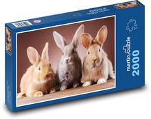 Króliki Puzzle 2000 elementów - 90x60 cm