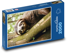 Fantasy lenivosť Puzzle 2000 dielikov - 90 x 60 cm