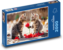 Valentine´s Day Gift - Kittens Puzzle 2000 pieces - 90 x 60 cm