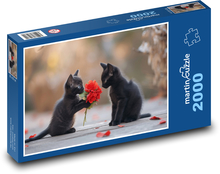 Roztomilé čierne mačiatka Puzzle 2000 dielikov - 90 x 60 cm