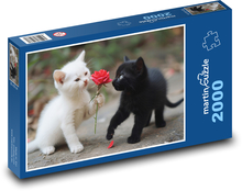 Biele a čierne mačiatka Puzzle 2000 dielikov - 90 x 60 cm