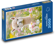 Alpala auf der Wiese Puzzle 2000 Teile - 90 x 60 cm