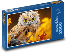 Sova Puzzle 2000 dílků - 90 x 60 cm