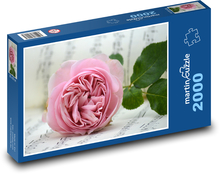 Ružová ruža Puzzle 2000 dielikov - 90 x 60 cm