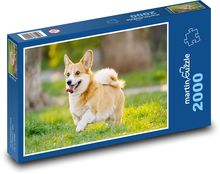 Pes - šteňa Puzzle 2000 dielikov - 90 x 60 cm