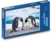 Tučniaky - rodina Puzzle 2000 dielikov - 90 x 60 cm