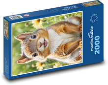 Squirrel in flowers Puzzle 2000 pieces - 90 x 60 cm