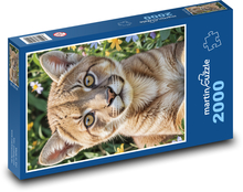 Cougar - mačka Puzzle 2000 dielikov - 90 x 60 cm