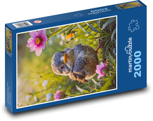 Vták na jar Puzzle 2000 dielikov - 90 x 60 cm