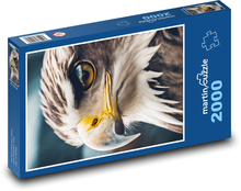 Orzeł - ptak Puzzle 2000 elementów - 90x60 cm