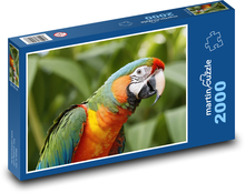 Papoušek Puzzle 2000 dílků - 90 x 60 cm