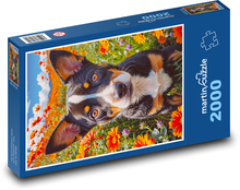 Pes - oranžové kvety Puzzle 2000 dielikov - 90 x 60 cm