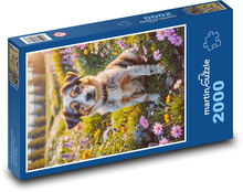 Pies na łące Puzzle 2000 elementów - 90x60 cm