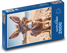 Donkey in glasses Puzzle 2000 pieces - 90 x 60 cm