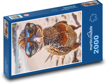 Ptak w okularach Puzzle 2000 elementów - 90x60 cm