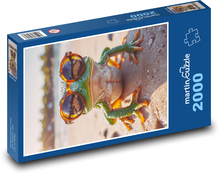 Žába v brýlích Puzzle 2000 dílků - 90 x 60 cm