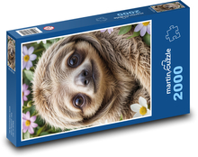 Leniwiec Puzzle 2000 elementów - 90x60 cm