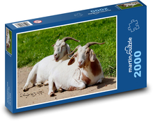 Domáce kozy Puzzle 2000 dielikov - 90 x 60 cm