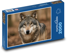 Wilk Puzzle 2000 elementów - 90x60 cm