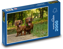 Psy - jamniki Puzzle 2000 elementów - 90x60 cm