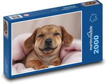 Śmiejący się pies Puzzle 2000 elementów - 90x60 cm