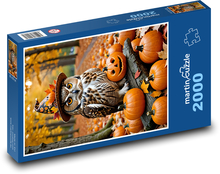 Sowa i dynia Puzzle 2000 elementów - 90x60 cm