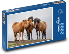 Islandský kôň Puzzle 2000 dielikov - 90 x 60 cm