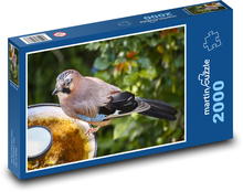 Sojka - vták Puzzle 2000 dielikov - 90 x 60 cm