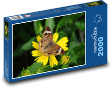 Motýľ na kvete Puzzle 2000 dielikov - 90 x 60 cm