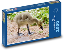 Kanadische Gans Puzzle 2000 Teile - 90 x 60 cm