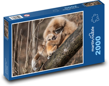 Gibbon Puzzle 2000 elementów - 90x60 cm