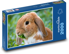 Králik Puzzle 2000 dielikov - 90 x 60 cm