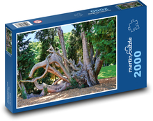 Baumwurzeln Puzzle 2000 Teile - 90 x 60 cm
