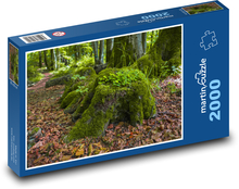 Las - karpy Puzzle 2000 elementów - 90x60 cm