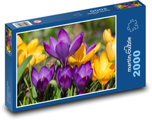 Krokusy Puzzle 2000 elementów - 90x60 cm