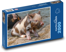 Prasiatko Puzzle 2000 dielikov - 90 x 60 cm